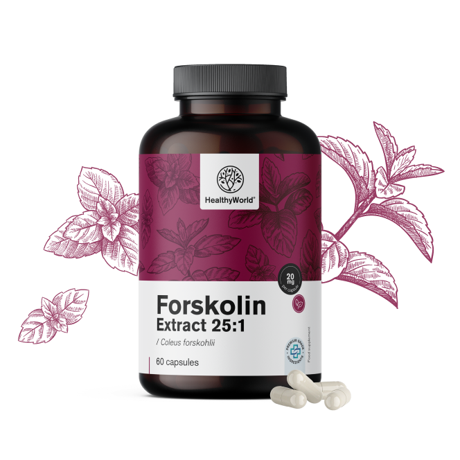 Forskoline – extrait d'ortie indienne 20 mg