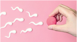 Quand est-ce que je suis le plus fertile ?