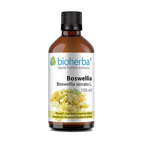Teinture de Boswellia.