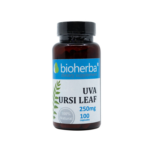 Busserole (Uva ursi) 250 mg, 100 gélules
