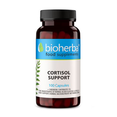 Soutien de cortisol.