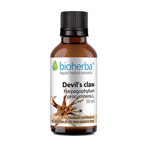 Tincture du griffes du diable.