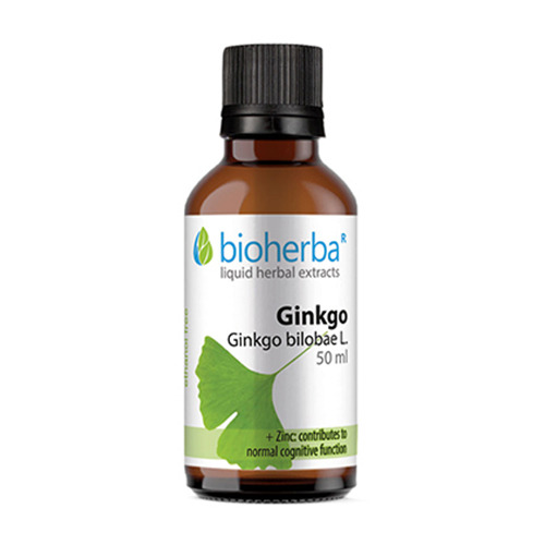 Teinture de ginko biloba.