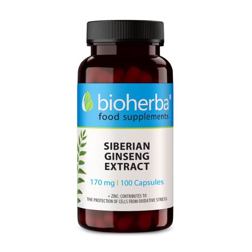 Ginseng de Sibérie en capsules.