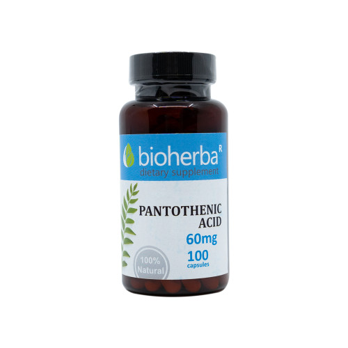 Vitamine B5 (acide pantothénique) 60 mg, 100 gélules