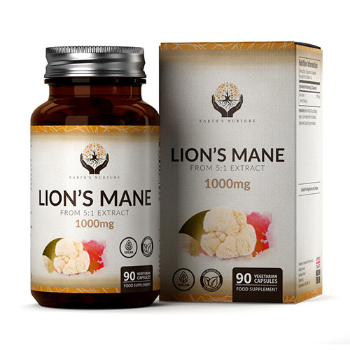 Crinière de lion (crinière de lion) - champignon