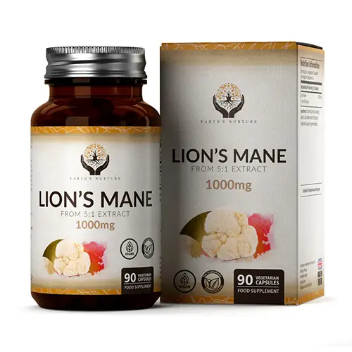 Crinière de lion (crinière de lion) - champignon