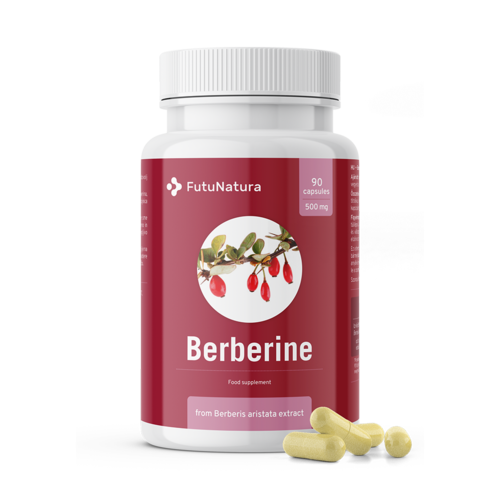 Berberin 500 mg extrait de Berberis aristata