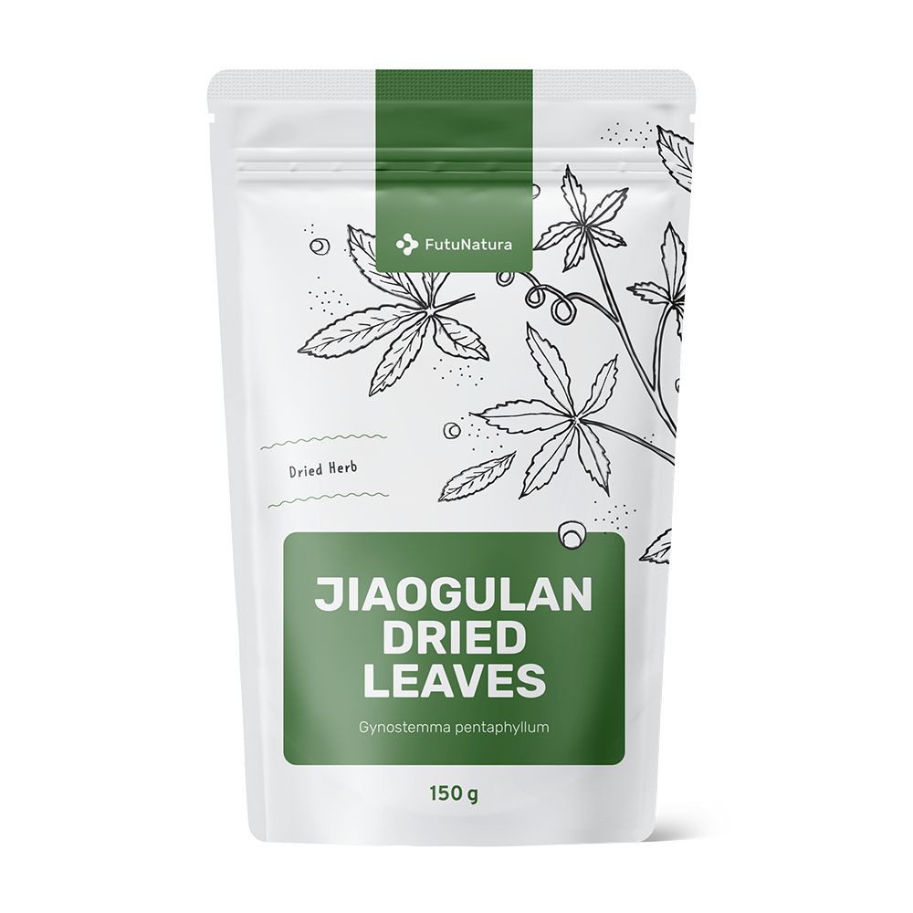 Feuilles séchées de Jiaogulan