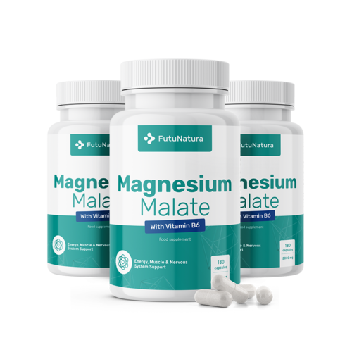 3x Malate de magnésium 2000 mg, ensemble 540 gélules