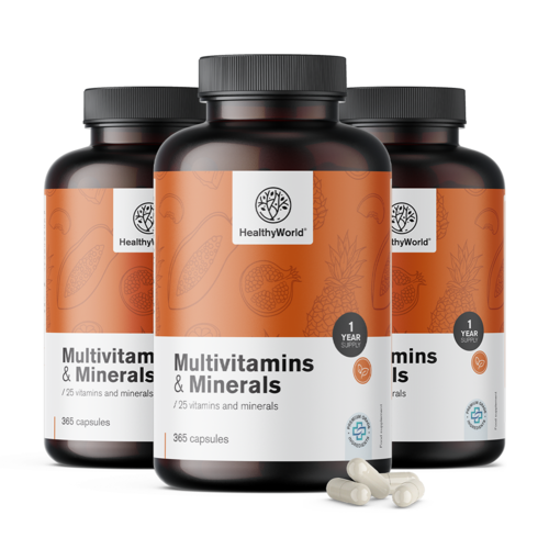 3x Multivitamines et minéraux, ensemble 1095 gélules