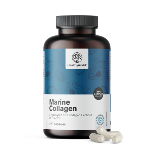 Collagène marin 1170 mg, 120 gélules