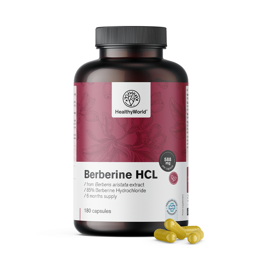 Berbérine en gélules