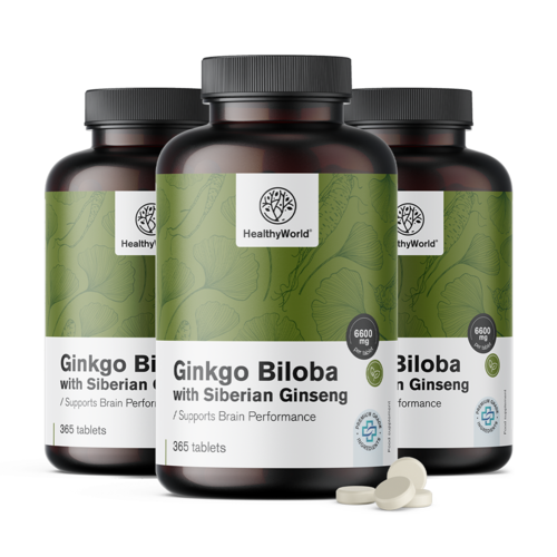 3x Ginkgo biloba avec ginseng sibérien 6600 mg, ensemble 1095 comprimés