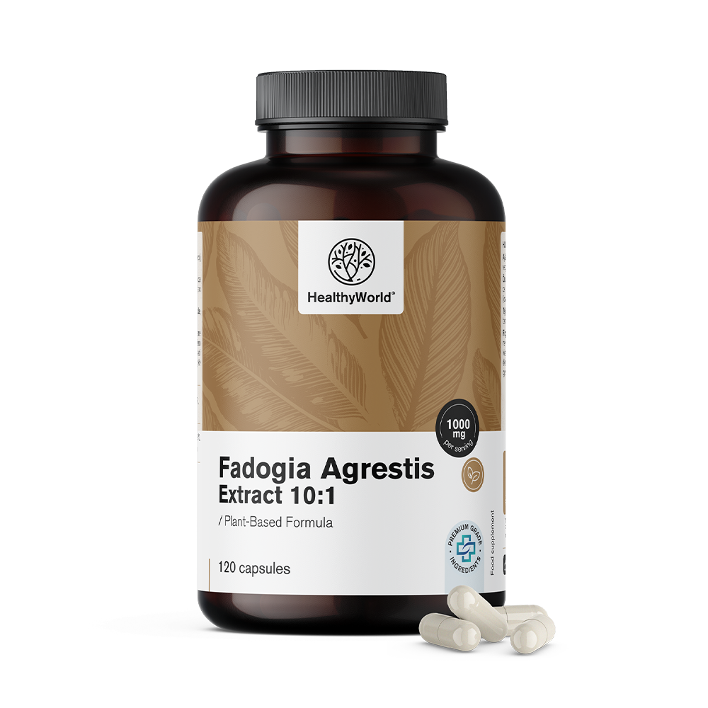 Fadogia Agrestis 1000 mg en gélules.