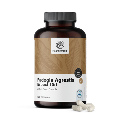 Fadogia Agrestis 1000 mg en gélules.