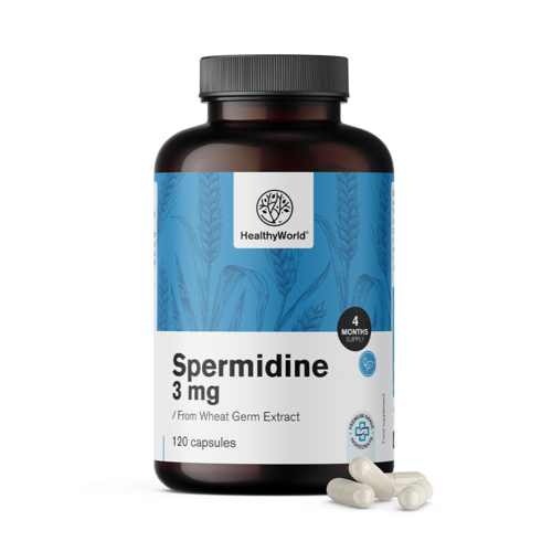 Spermidine 3 mg - extrait de germe de blé.