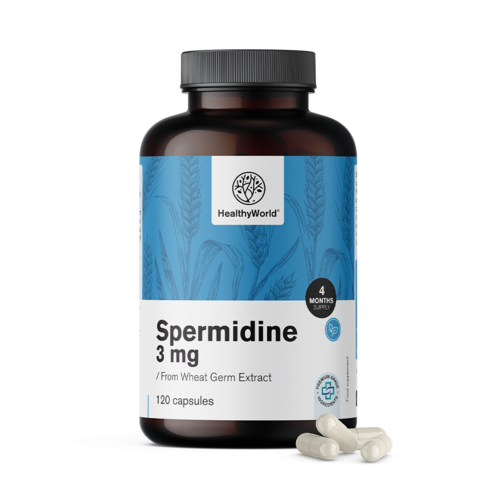 Spermidine 3 mg - extrait de germe de blé, 120 gélules