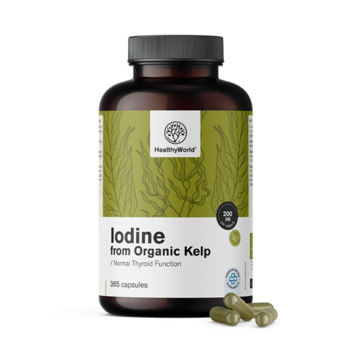Iode naturel 200 µg - à partir d'algues kelp BIO, 365 gélules