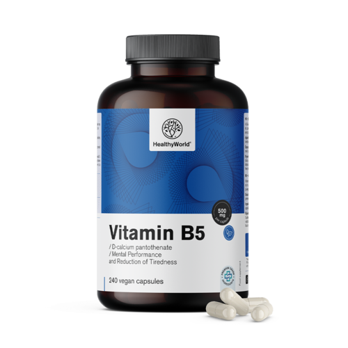 Vitamine B5 500 mg, 240 gélules