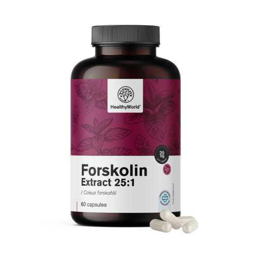 Forskoline – extrait d'ortie indienne 20 mg, 60 gélules