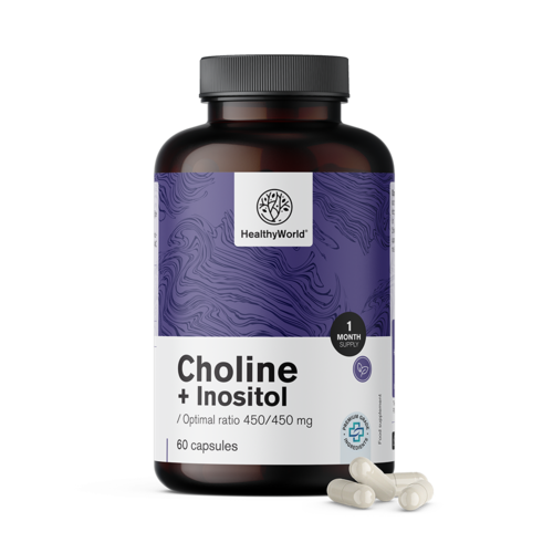 Choline-inositol 450/450 mg, 60 gélules