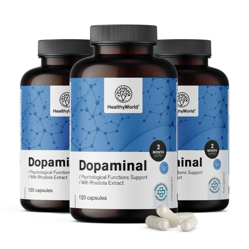 3x Dopaminal – Dopamine Support, ensemble 360 gélules
