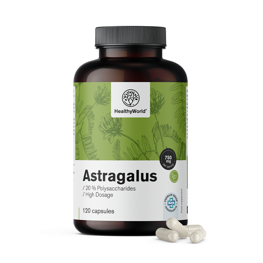 Astragalus – extrait