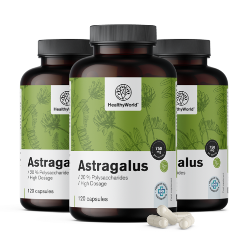 3x Astragalus – extrait, ensemble 360 gélules