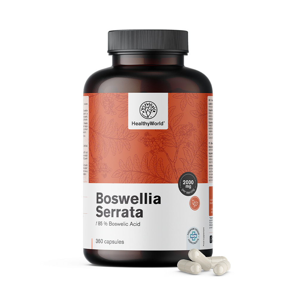 Boswellia (Boswellia Serrata) – 85 % acide boswellique