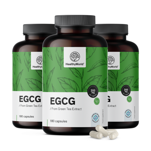 3x EGCG – à partir d’extrait de thé vert, ensemble 540 gélules