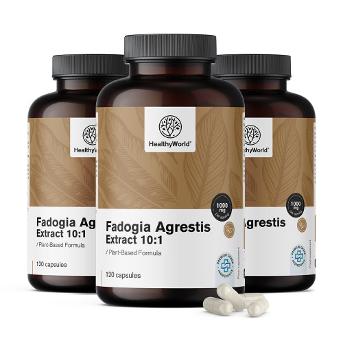 3x Fadogia Agrestis 1000 mg, ensemble 360 gélules
