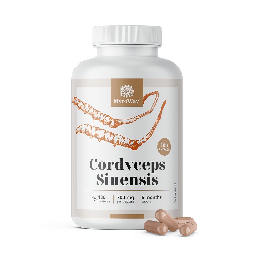 Cordyceps sinensis 1400 mg - extrait 10:1.