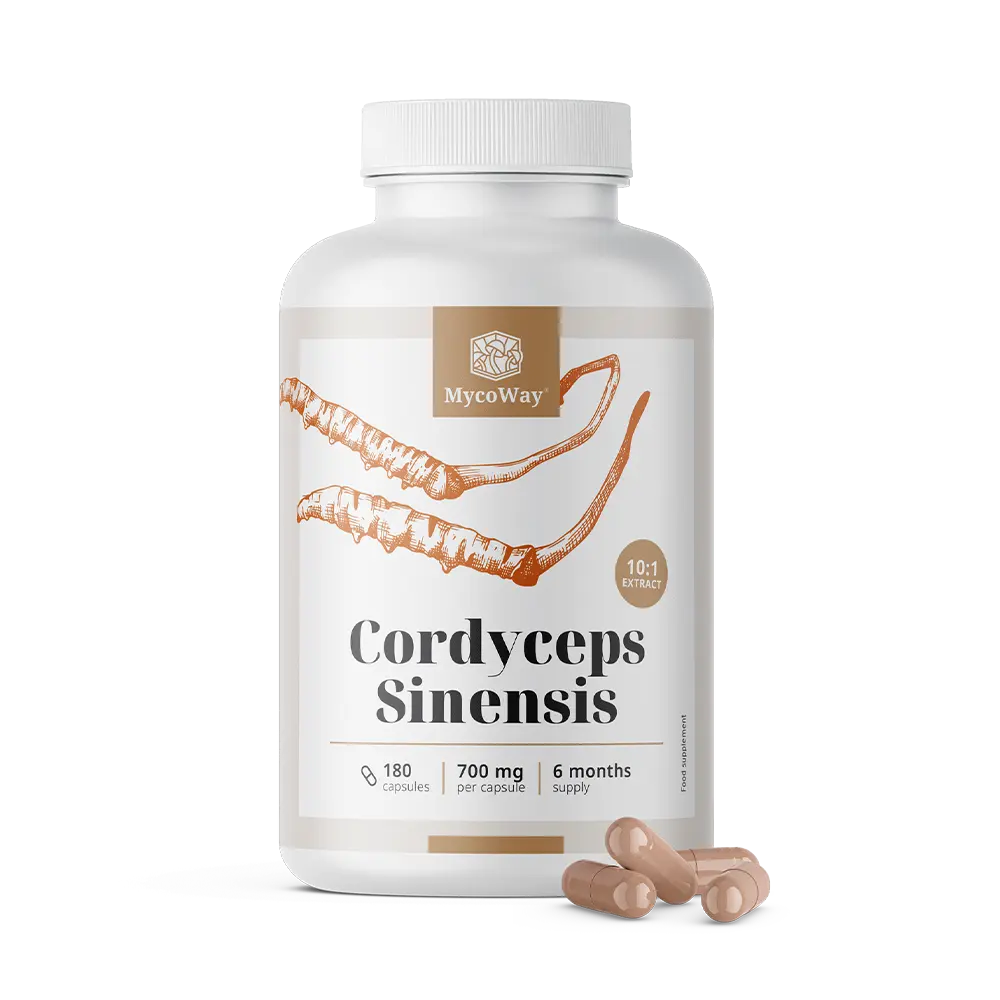 Cordyceps sinensis 1400 mg - extrait 10:1.