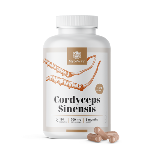 Cordyceps sinensis 1400 mg – extrait 10:1, 180 gélules
