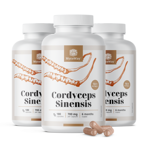 3x Cordyceps sinensis 1400 mg – extrait 10:1, ensemble 540 gélules