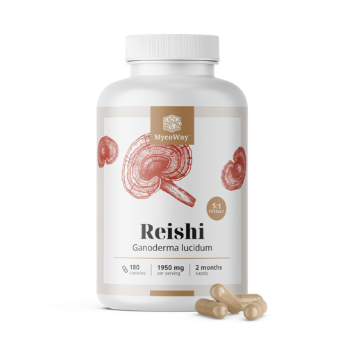 Reishi 1950 mg – extrait 5:1, 180 gélules