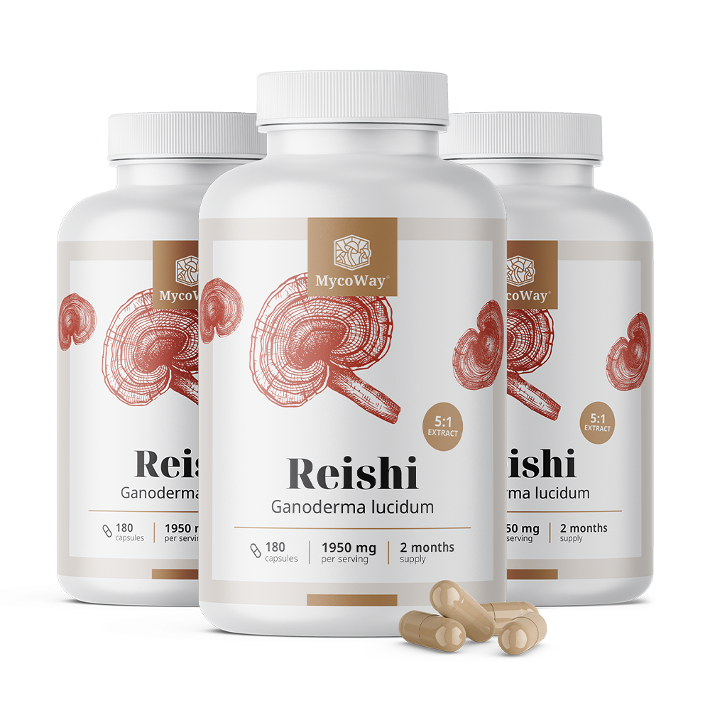 Reishi 1950 mg – extrait 5:1