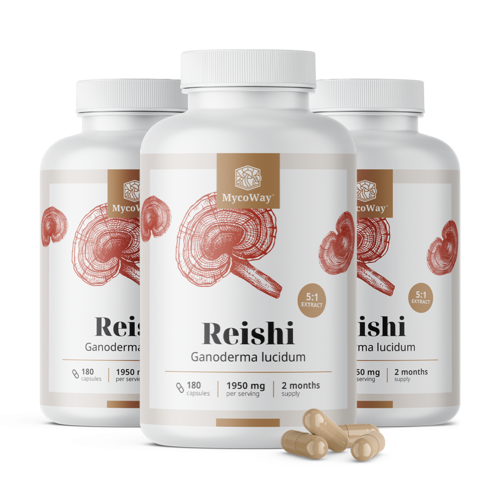 3x Reishi 1950 mg – extrait 5:1, ensemble 540 gélules