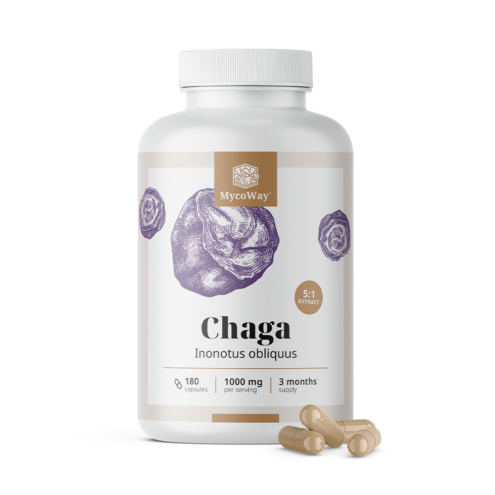Chaga 1000 mg - extrait 5:1.