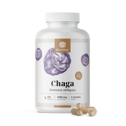 Chaga 1000 mg – extrait 5:1, 180 gélules