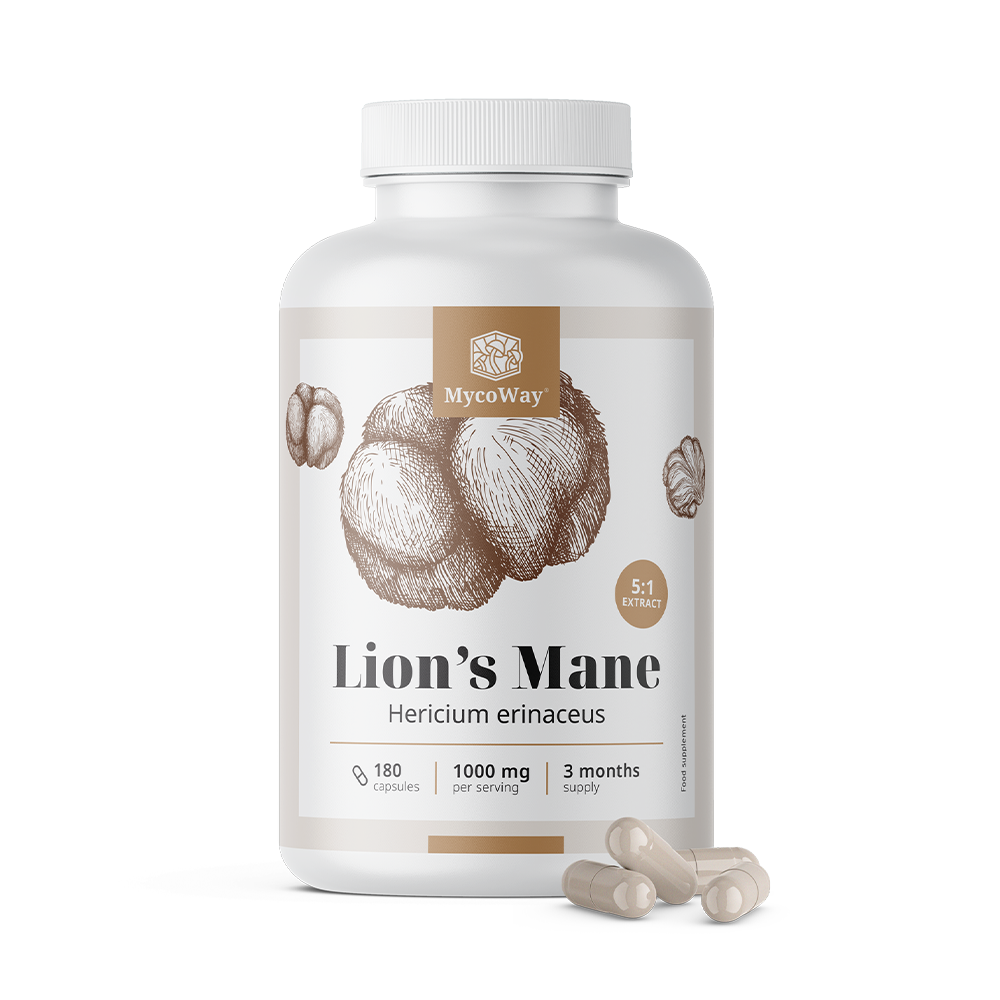 Barbu hirsute 1000 mg - extrait 5:1.
