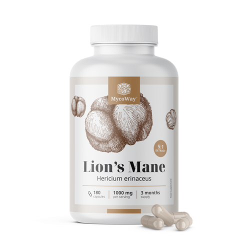 Hydne hérisson 1000 mg - extrait 5:1, 180 gélules