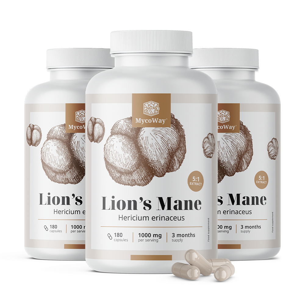 Barbu hirsute 1000 mg – extrait 5:1