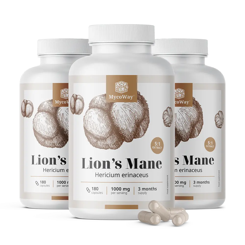 Barbu hirsute 1000 mg – extrait 5:1