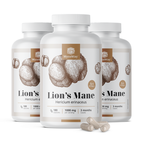 3x Hydne hérisson 1000 mg – extrait 5:1, ensemble 540 gélules