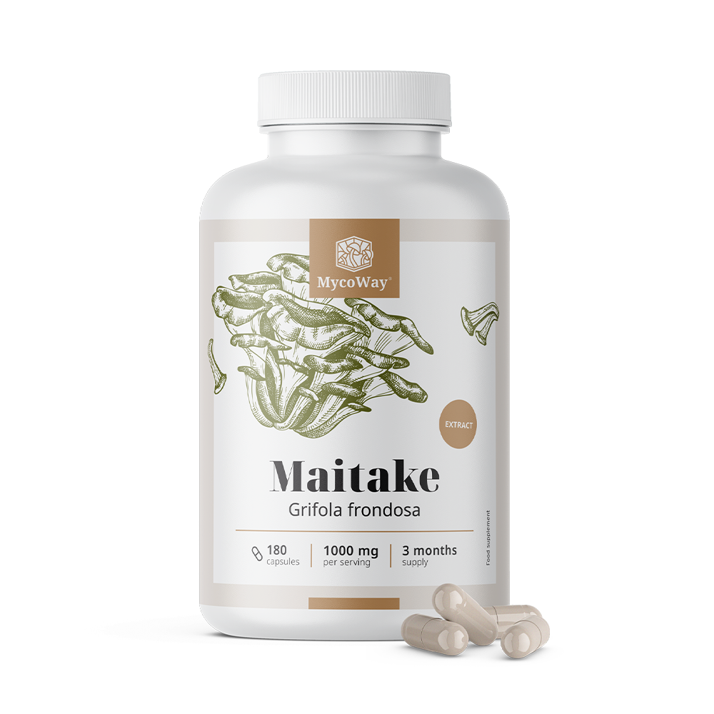 Maitake 1000 mg - extrait.