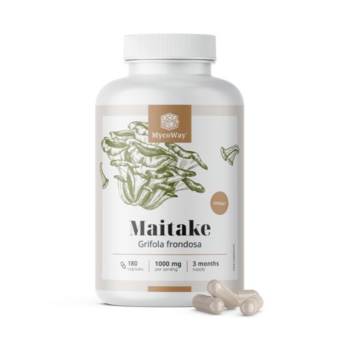 Maitaké 1000 mg – extrait, 180 gélules