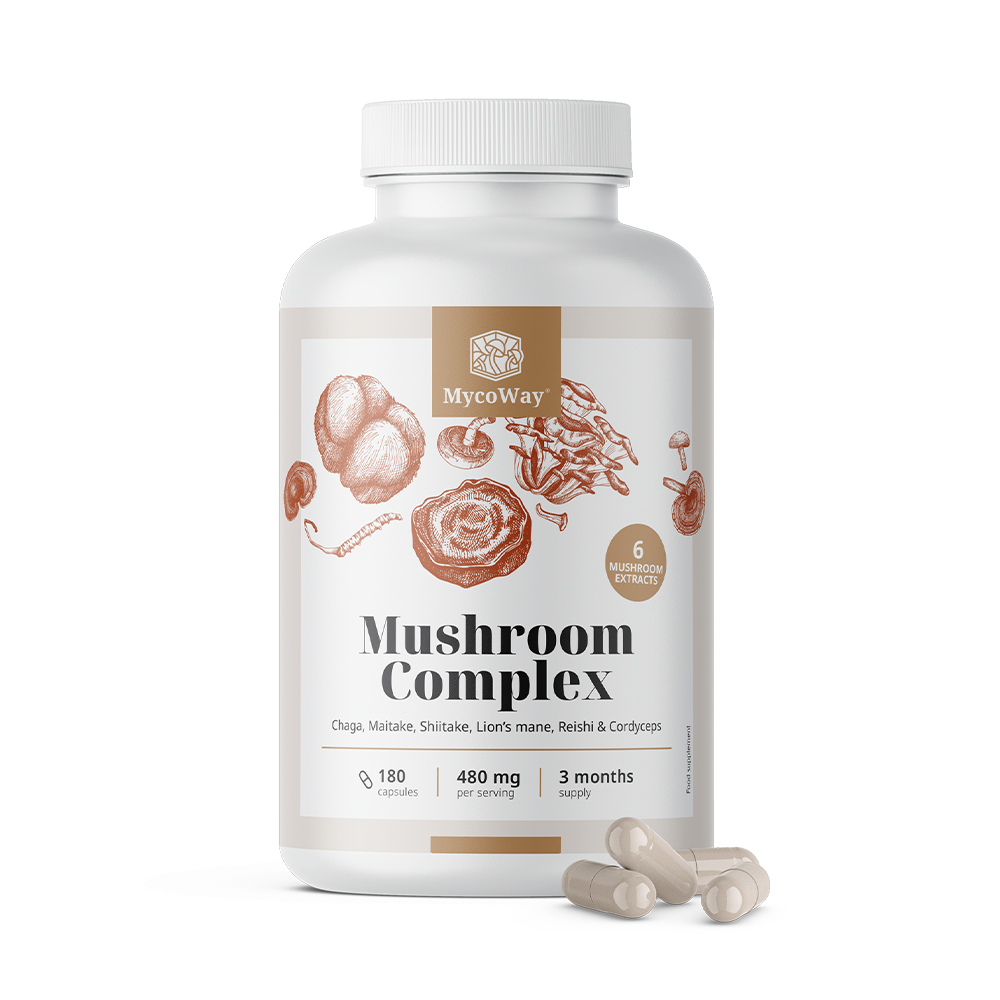 Complexe de 6 champignons.