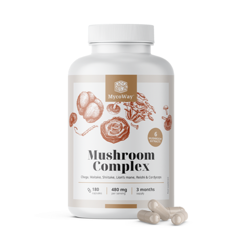 Complexe de champignons, 180 gélules